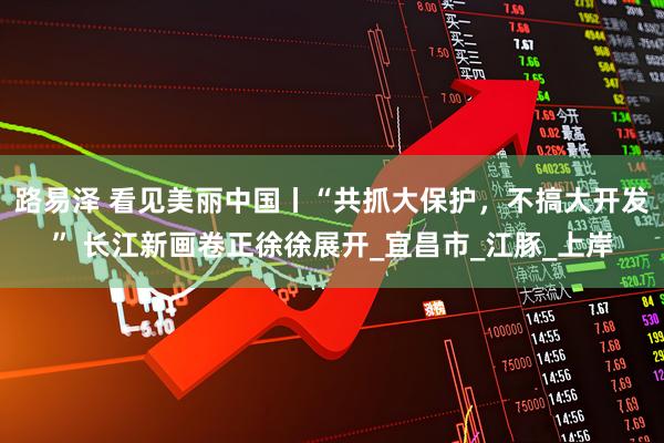 路易泽 看见美丽中国丨“共抓大保护，不搞大开发” 长江新画卷正徐徐展开_宜昌市_江豚_上岸